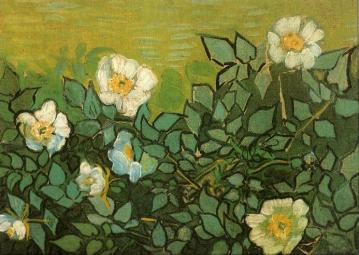 Wild Roses Artwork by Vincent Van Gogh