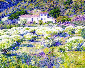 Anthemis in Flower Artwork by Theo van Rysselberghe