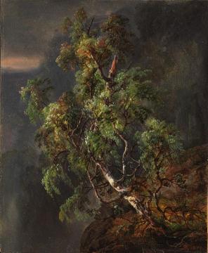 Birch Tree In A Storm Artwork by Johan Christian Dahl