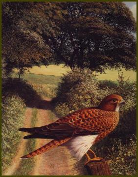 Untitled Artwork by Raymond Booth