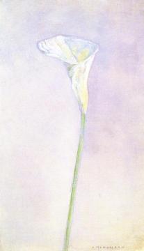 Arum Lily Artwork by Piet Mondrian