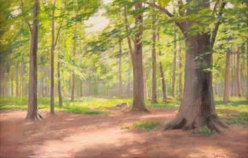 The Forest Artwork by Johan Krouthén