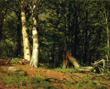 Fallen Birch Artwork by Thomas Worthington Whittredge