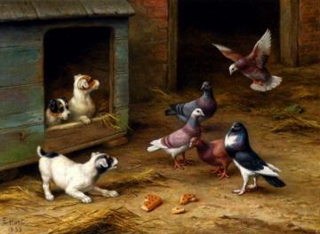 Puppies and Pigeons playing by a Kennel Artwork by Edgar Hunt