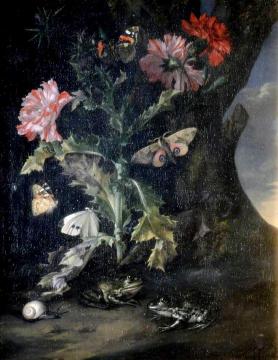 Still Life with Carnations and Frogs Artwork by Willem van Aelst