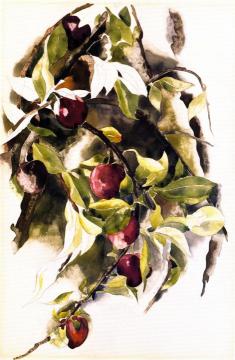 Plums Artwork by Charles Demuth
