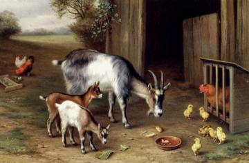 Goats And Poultry Artwork by Edgar Hunt
