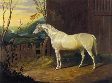 A Gray Arab Mare outside a Stable in an Extensive River Landscape Artwork by John Frederick Herring, Sr