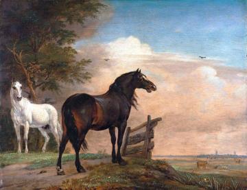 Two Horses near a Gate in the Meadow Artwork by Paulus Potter