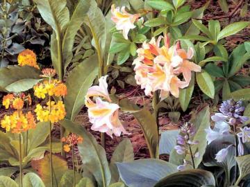 The Artist's Garden Artwork by Raymond Booth