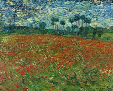 Field With Poppies Artwork by Vincent Van Gogh
