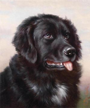 Newfoundland Artwork by Carl Reichert