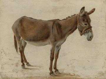 A Donkey Artwork by Jacques-Laurent Agasse