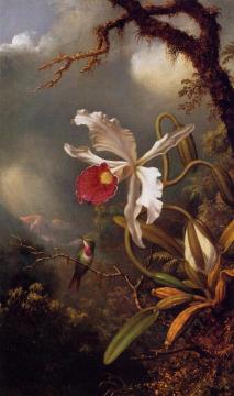 An Amethyst Hummingbird with a White Orchid Artwork by Martin Johnson Heade