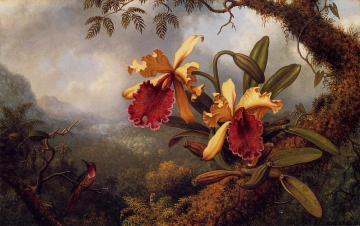 Orchids and Hummingbird Artwork by Martin Johnson Heade