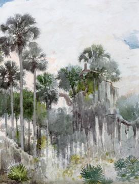 Florida Jungle Artwork by Winslow Homer