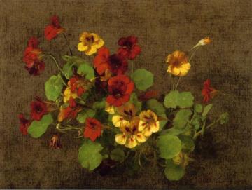 Nasturtiums Artwork by Victoria Fantin-Latour