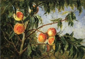 Peaches Artwork by Thomas Worthington Whittredge
