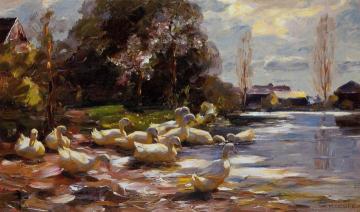 Ducks on a Riverbank on a Sunny Afternoon Artwork by Alexander Koester