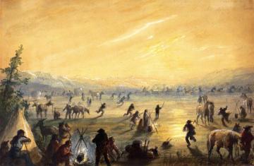 Attrapez Des Chevaux Artwork by Alfred Jacob Miller