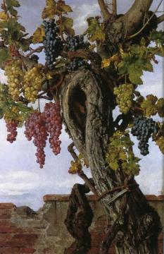 Grapevine With A Lizard Artwork by Giorgio Lucchesi