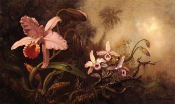 Orchids And A Beetle Artwork by Martin Johnson Heade