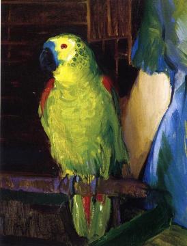 Parrot Artwork by George Wesley Bellows