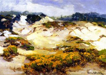 Dunes Pallid by Mist, Monterey Coast Artwork by Franz Bischoff