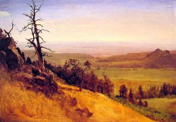 Nebraska Wasatch Mountains Artwork by Albert Bierstadt