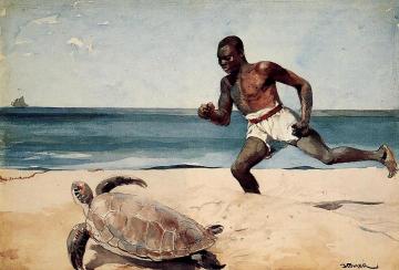 Rum Cay Artwork by Winslow Homer