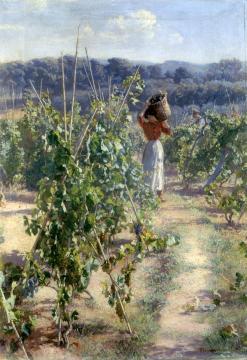 Grape harvesting Artwork by Elin Kleopatra Danielson-gambogi