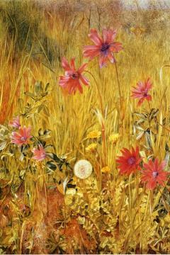 Wildflowers Artwork by Henry Roderick Newman