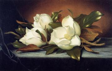 Giant Magnolias Artwork by Martin Johnson Heade