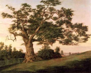 The Charter Oak Artwork by Charles De Wolf Brownell