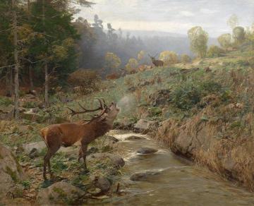 Herd of red deer in a forest clearing Artwork by Christian Johann Kroner