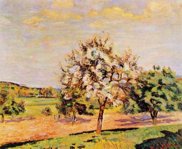 Apple Trees in Bloom Artwork by Armand Guillaumin