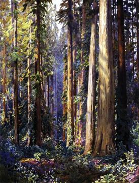 Redwoods Artwork by Gunnar Widforss