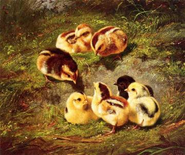 Chickens Artwork by Arthur Fitzwilliam Tait