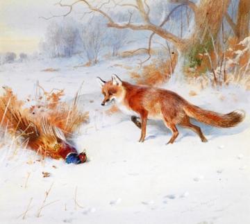 Overlooked by the Beaters Artwork by Archibald Thorburn