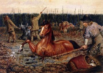 Crossing Swamps near Head Water, North Saskatchewan Artwork by William George Richardson Hind