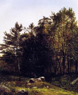 A Study near Tamworth, New Hampshire Artwork by David Johnson