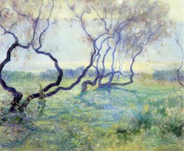 Tamarisk Trees in Early Sunlight Artwork by Guy Orlando Rose