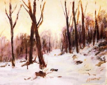 Snow Artwork by Luigi Comoli