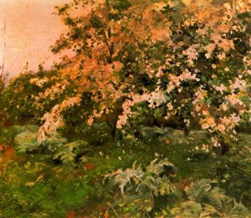 Almendros de montaña Artwork by Joaquin Mir Trinxet