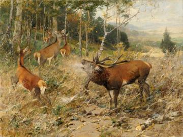 Deer Herd Artwork by Christian Johann Kroner