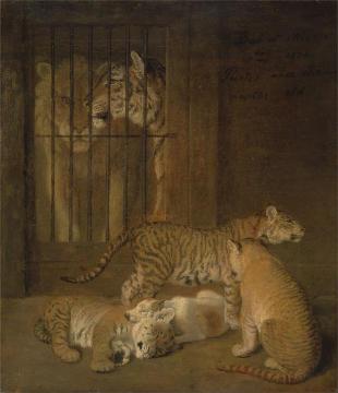 Group of Whelps Bred between a Lion and a Tigress Artwork by Jacques-Laurent Agasse