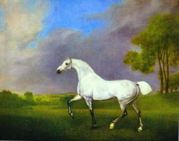 A Grey Horse Artwork by George Stubbs