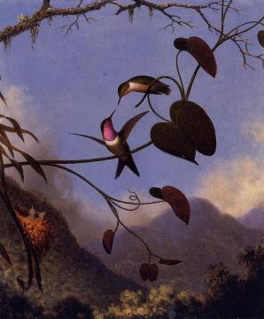 Amethyst Woodstar Artwork by Martin Johnson Heade