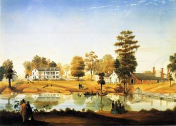 Orange Grove Artwork by Marie Adrien Persac