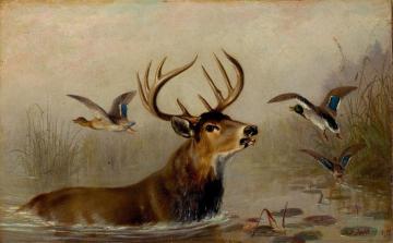 After a Hard Chase Artwork by Arthur Fitzwilliam Tait